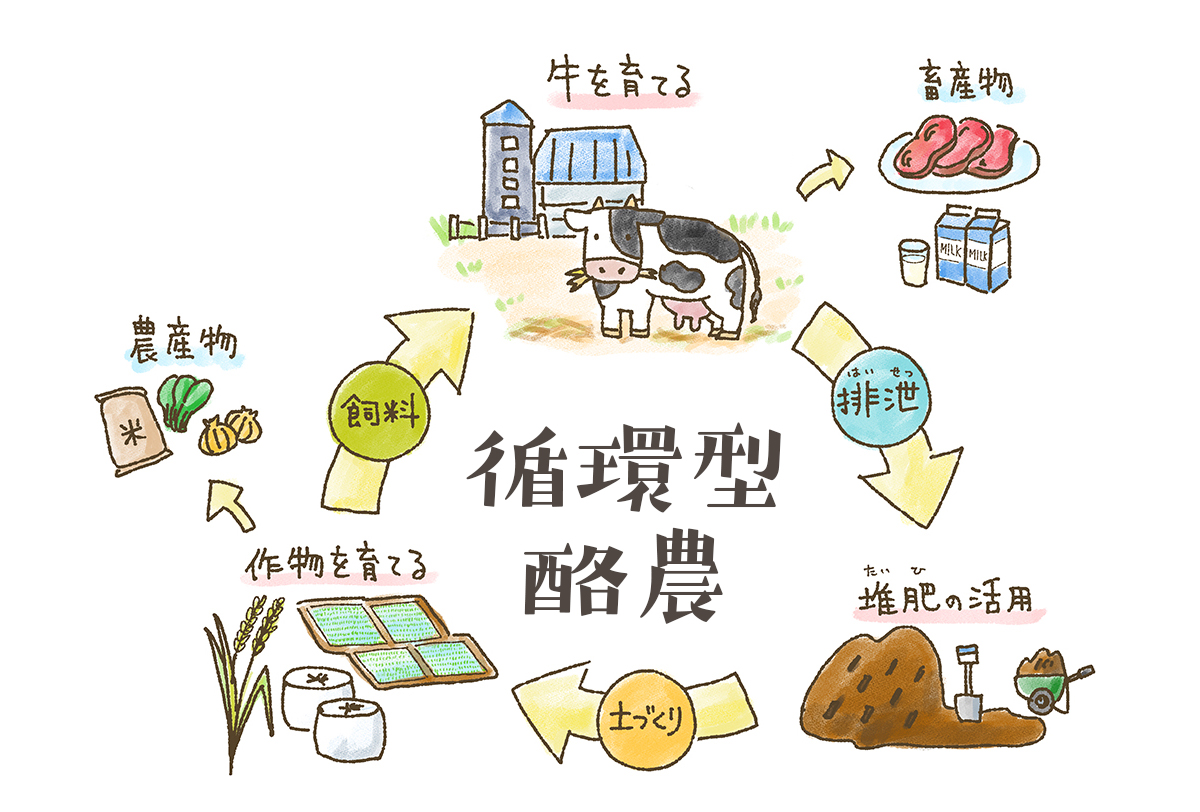 循環型酪農