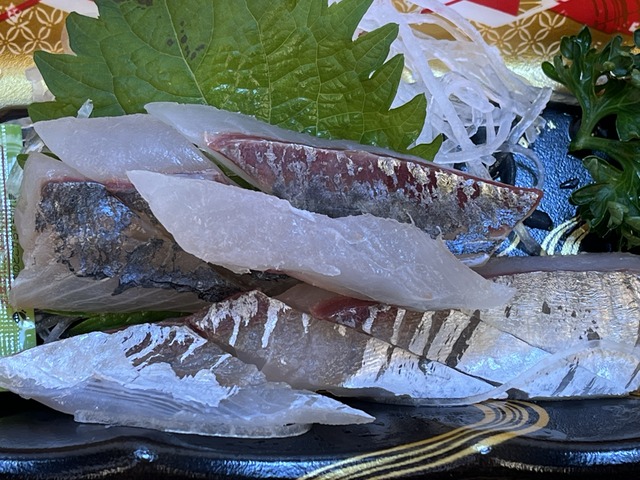 ❹活トツカアジ1-3-1