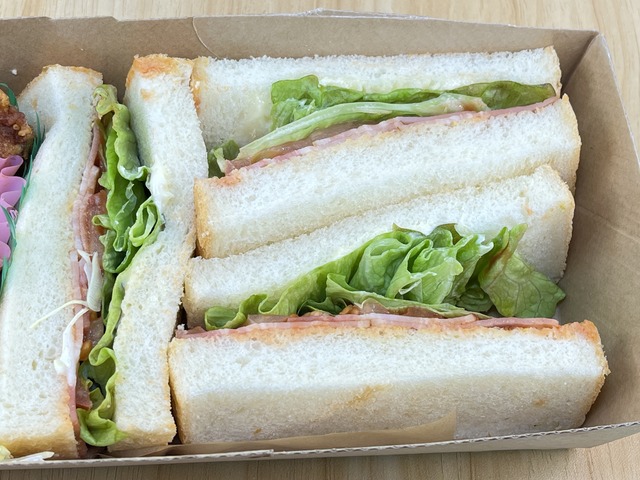 BLT1-2-1