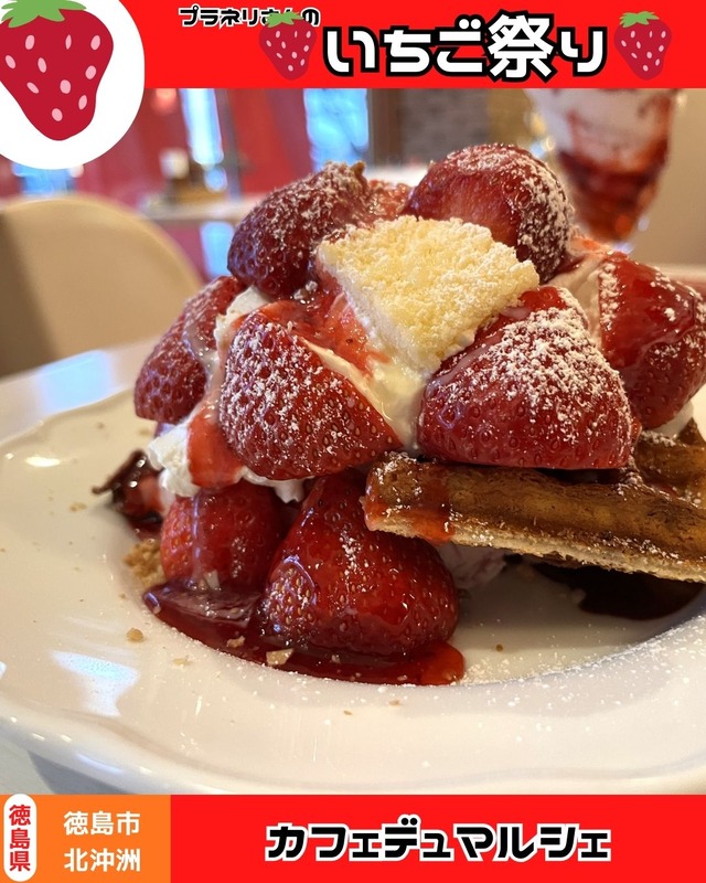 カフェデュマルシェ