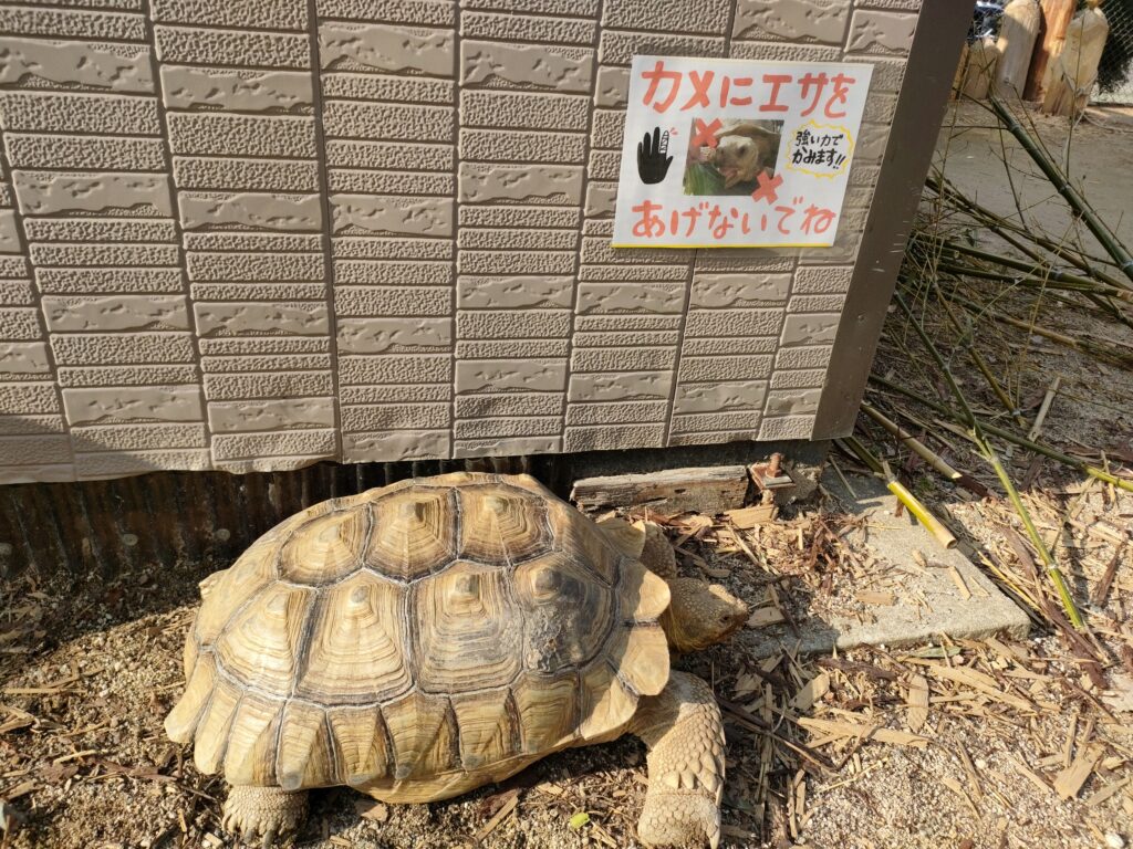 トリアス久山 ふれあい動物園