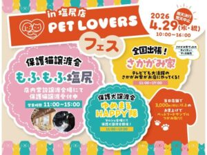 保護猫が新しい家族を待つイベント「PET LOVERSフェス」