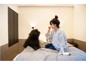愛犬との一人旅を楽しむ新プラン登場！