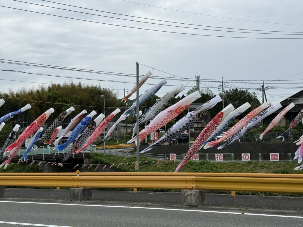 仁保の鯉のぼりの写真