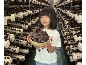 名取市で楽しむオーガニックきのこ収穫体験