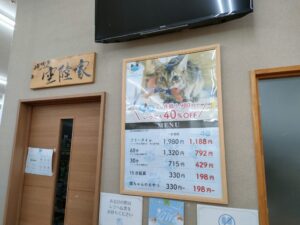 熊本・猫カフェ空陸家の魅力とは