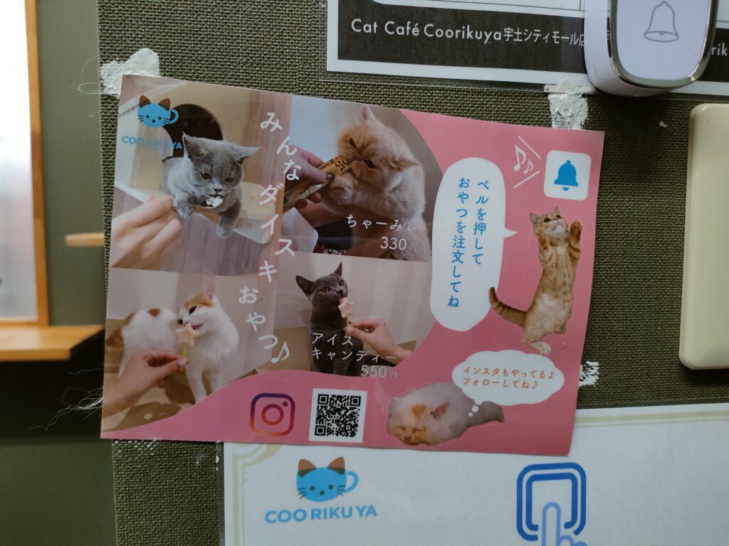 猫カフェ 空陸家 宇土シティモール店