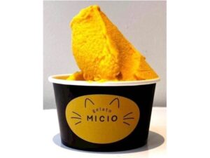 鎌倉に新ジェラートショップ「MICIO」がオープン