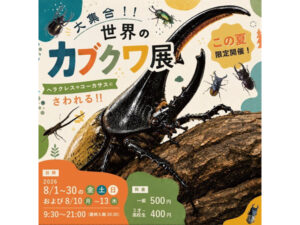 山口県宇部市】世界中の珍しいカブトムシやクワガタが大集合する
